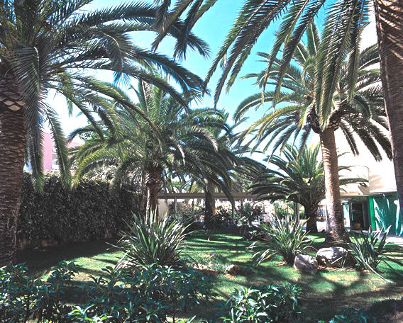 سانتا بونسا Hotel Palmira Isabela المظهر الخارجي الصورة